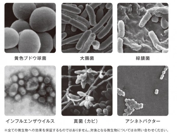 画像?